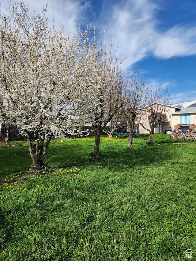 470 S Whitesides St, Layton, UT 84041 - view of yard