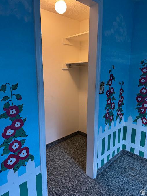 1006 S 1040 W, Payson, UT 84651 - view of walk in closet