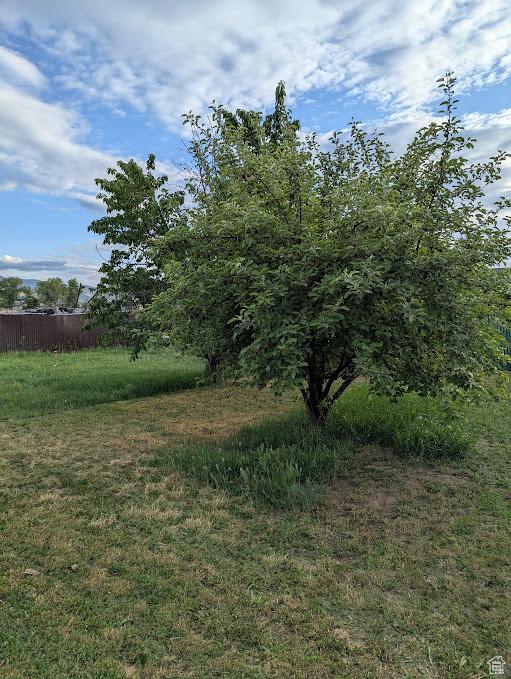 1006 S 1040 W, Payson, UT 84651 - view of local wilderness