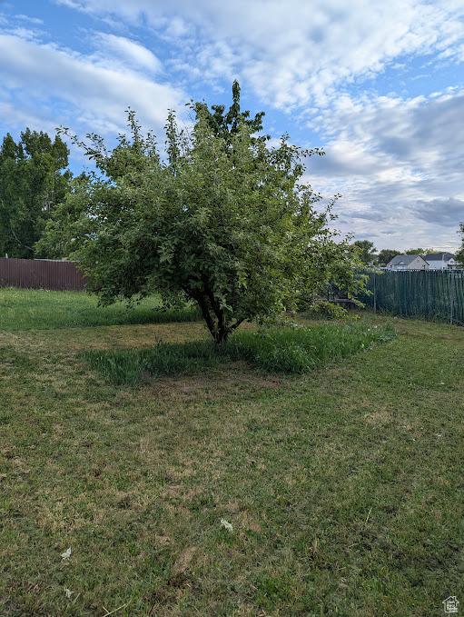 1006 S 1040 W, Payson, UT 84651 - view of yard