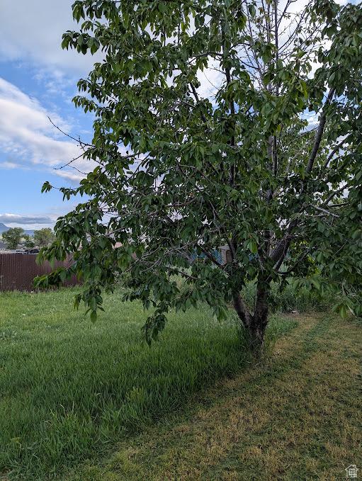 1006 S 1040 W, Payson, UT 84651 - view of undeveloped land
