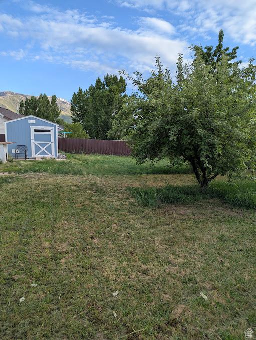 1006 S 1040 W, Payson, UT 84651 - view of yard featuring a shed, an outbuilding, and a mountain view