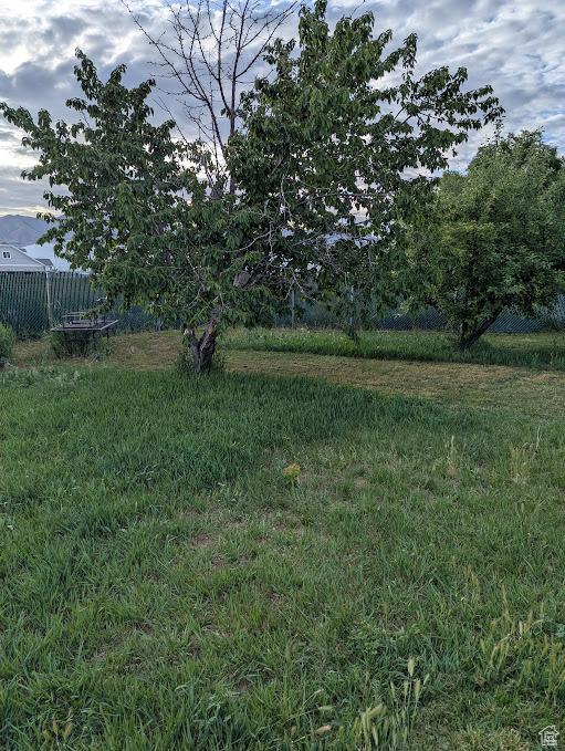 1006 S 1040 W, Payson, UT 84651 - view of yard with fence
