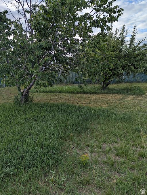 1006 S 1040 W, Payson, UT 84651 - view of nature