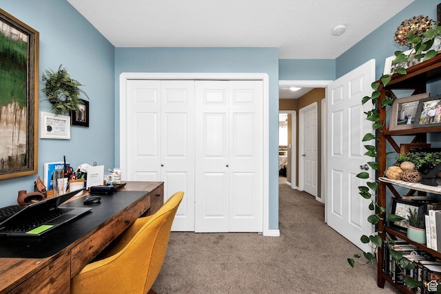 office area featuring carpet