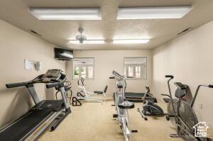 150 S Crystal Lakes Dr Unit 51, St George, UT 84770 - workout room featuring carpet