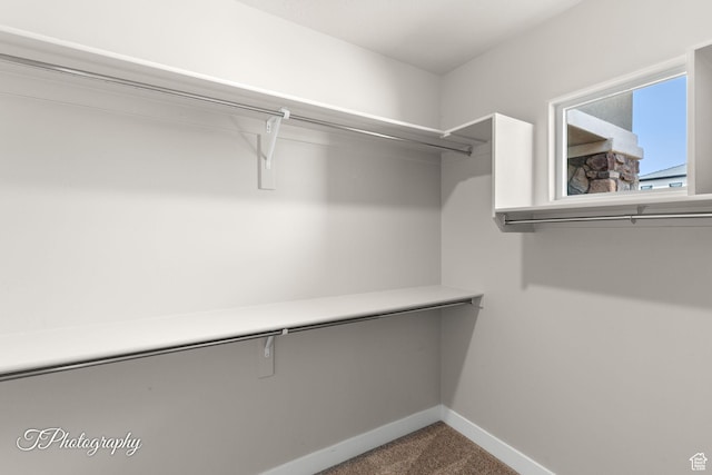 walk in closet with carpet flooring