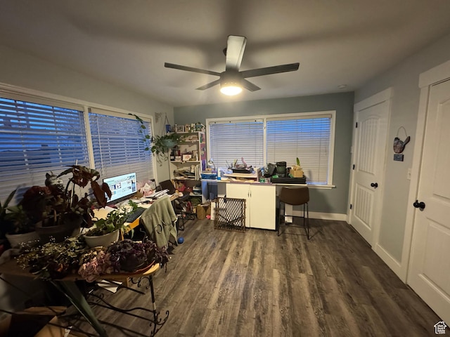 117 S 7th St, Montpelier, ID 83254 - office featuring a ceiling fan, wood finished floors, and baseboards
