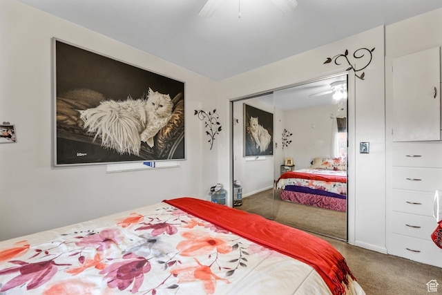 484 W 200 S, Tooele, UT 84074 - carpeted bedroom with a closet and ceiling fan