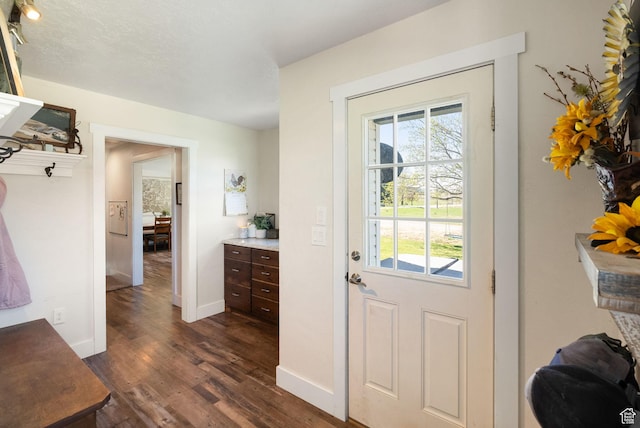 975 N 1400 W, Preston, ID 83263 - entryway featuring a wealth of natural light, dark wood-type flooring, and baseboards