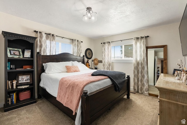 975 N 1400 W, Preston, ID 83263 - bedroom with a textured ceiling, carpet flooring, and a sink