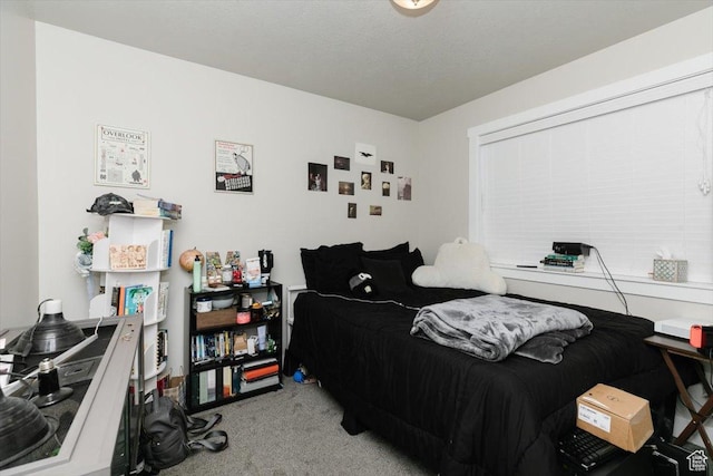 162 E 2480 N, North Logan, UT 84341 - view of carpeted bedroom