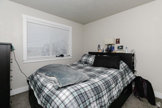 162 E 2480 N, North Logan, UT 84341 - bedroom with baseboards and carpet flooring