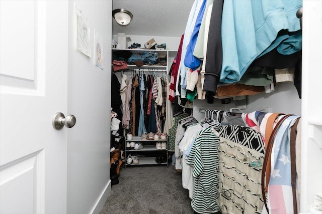 162 E 2480 N, North Logan, UT 84341 - spacious closet with carpet flooring