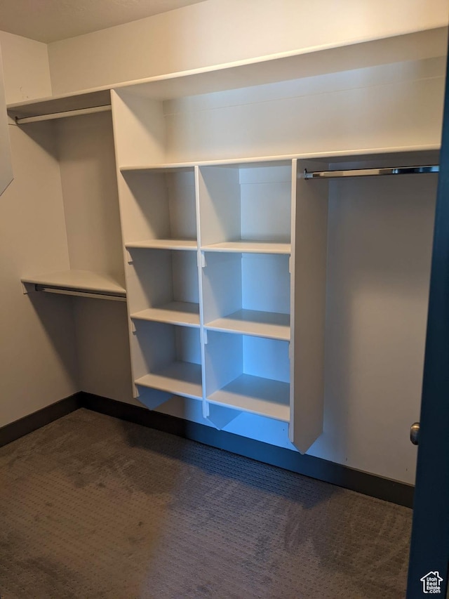 spacious closet with dark carpet