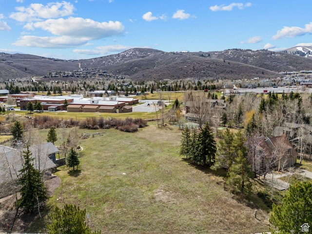 2045 Lucky John Dr, Park City, UT 84060
