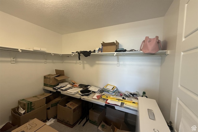 6129 W Coulee Ln, West Jordan, UT 84081 - view of storage room