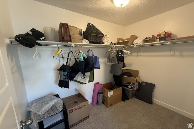 6129 W Coulee Ln, West Jordan, UT 84081 - spacious closet with carpet flooring