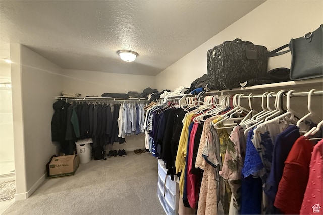 6129 W Coulee Ln, West Jordan, UT 84081 - walk in closet featuring carpet flooring