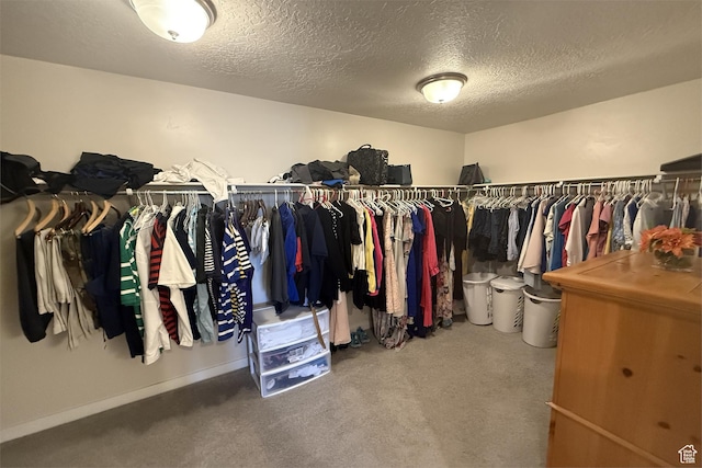 6129 W Coulee Ln, West Jordan, UT 84081 - spacious closet featuring carpet flooring