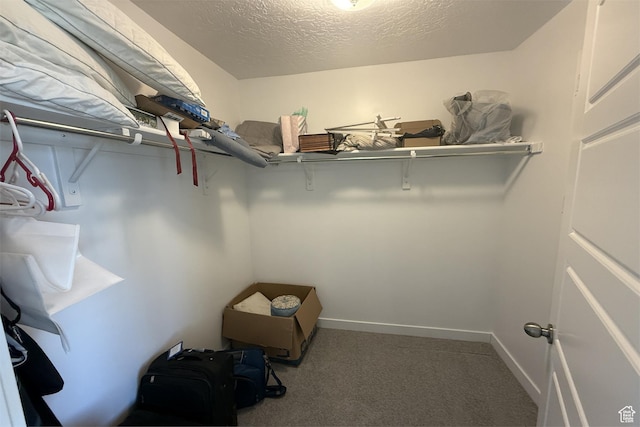 6129 W Coulee Ln, West Jordan, UT 84081 - spacious closet featuring carpet