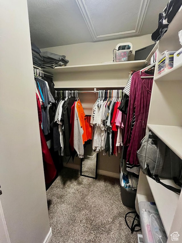 8675 N Franklin Dr E, Eagle Mountain, UT 84005 - spacious closet featuring attic access and carpet floors