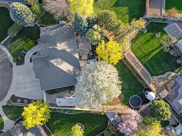 1380 S 980 E, Spanish Fork, UT 84660 - drone / aerial view