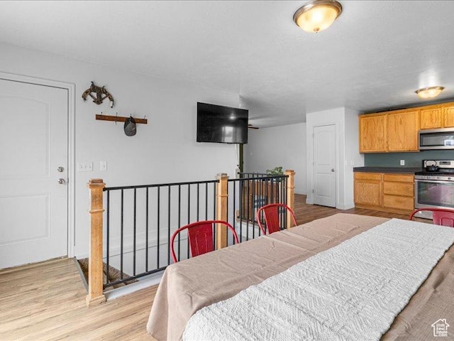 606 N 200 W, Ephraim, UT 84627 - kitchen with dark countertops, light wood-style flooring, and stainless steel appliances
