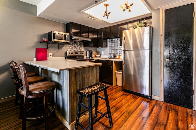kitchen featuring under cabinet range hood, stainless steel appliances, a sink, a peninsula, and dark wood-style flooring