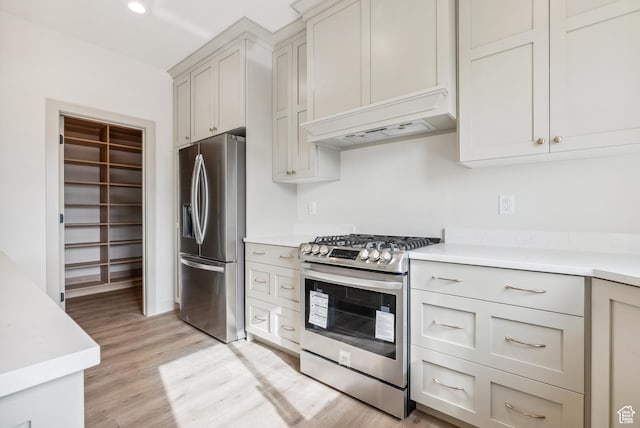 178 N Husker Ln Unit 2, Saratoga Springs, UT 84043 - kitchen with light countertops, custom exhaust hood, appliances with stainless steel finishes, and light wood-style flooring