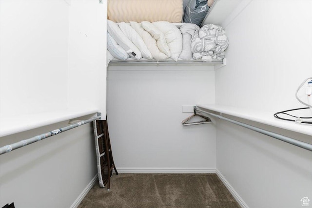 770 Orchard Dr, River Heights, UT 84321 - spacious closet with carpet