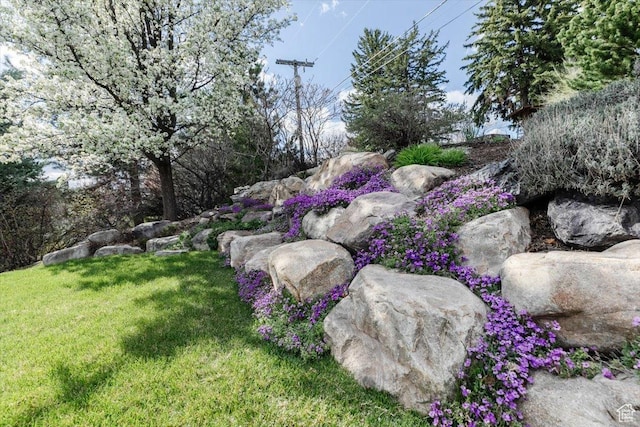 770 Orchard Dr, River Heights, UT 84321 - view of yard