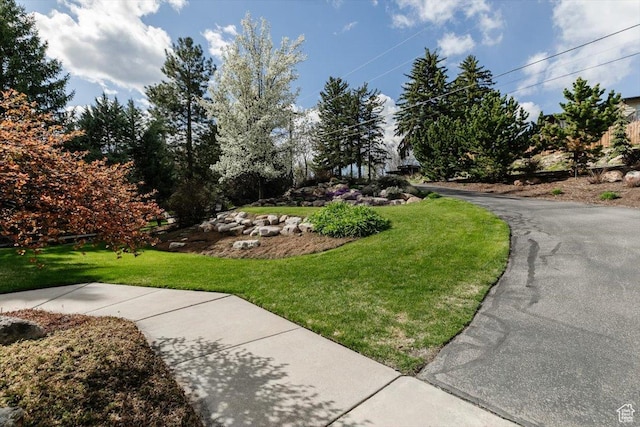 770 Orchard Dr, River Heights, UT 84321 - view of property's community featuring a lawn