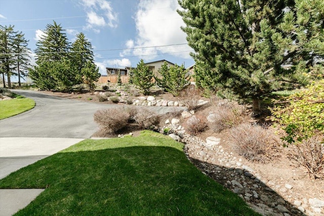770 Orchard Dr, River Heights, UT 84321 - view of yard
