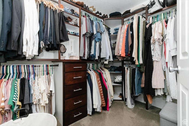 770 Orchard Dr, River Heights, UT 84321 - view of spacious closet