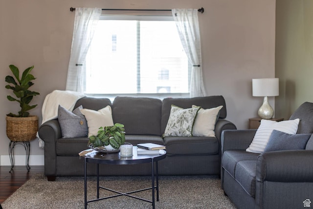 818 W 530 S, Logan, UT 84321 - living room featuring healthy amount of natural light and wood finished floors