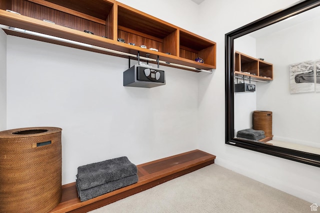 1999 W Canyon Dr Unit 3, St George, UT 84770 - mudroom with carpet
