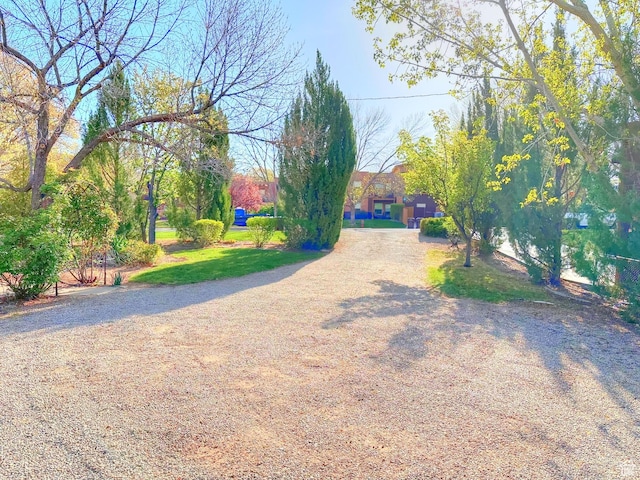 168 S 100 W, Moab, UT 84532 - view of road featuring gravel driveway