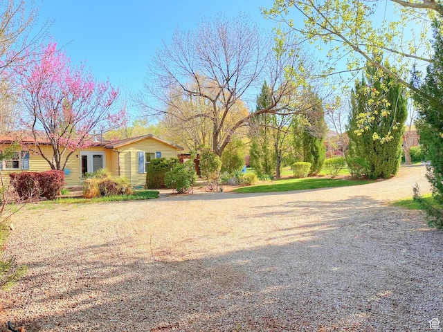 168 S 100 W, Moab, UT 84532 - view of yard