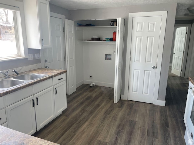 235 W 200 S, Vernal, UT 84078 - clothes washing area featuring a sink, dark wood-style flooring, baseboards, washer hookup, and laundry area