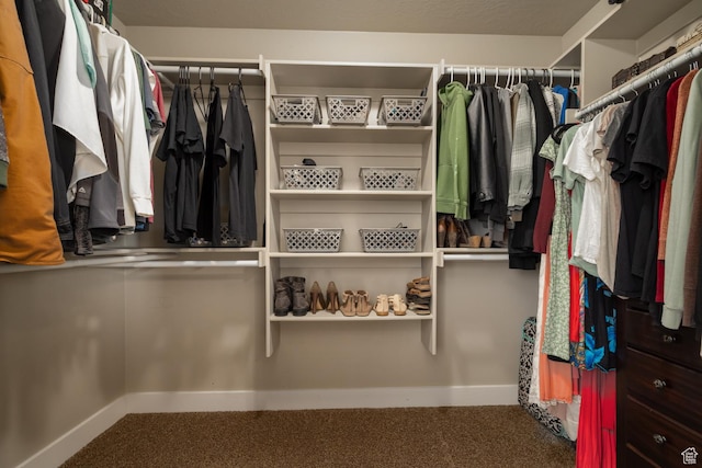 1394 S 1700 W, Vernal, UT 84078 - walk in closet with carpet floors