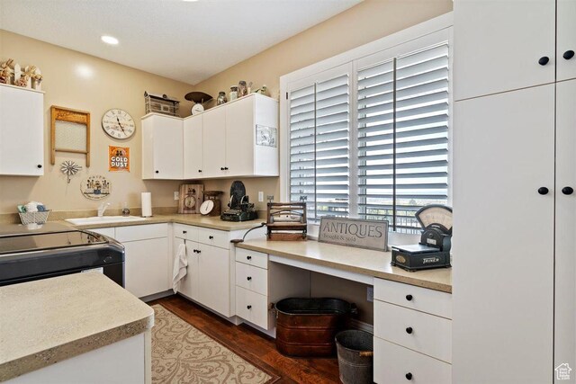 kitchen featuring a sink, light countertops, dark wood finished floors, and white cabinets