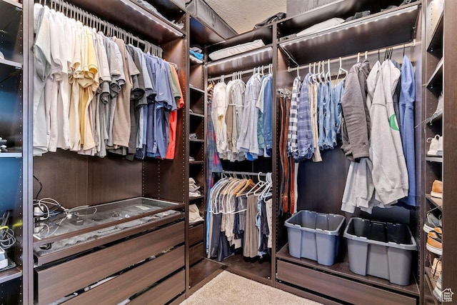 view of walk in closet