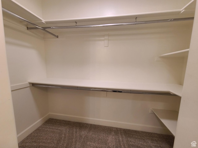 317 S 1000 W Unit 103, Pleasant Grove, UT 84062 - spacious closet with dark carpet