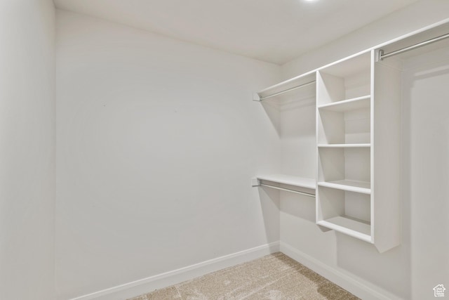 4423 Ranch Blvd, Mountain Green, UT 84050 - spacious closet with carpet floors