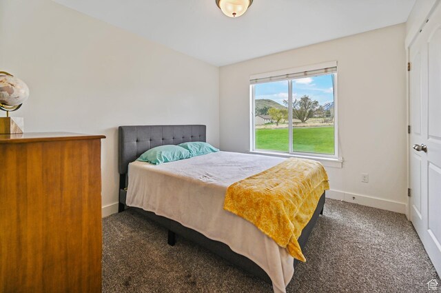 8050 W 1900 N, Petersboro, UT 84325 - carpeted bedroom with baseboards