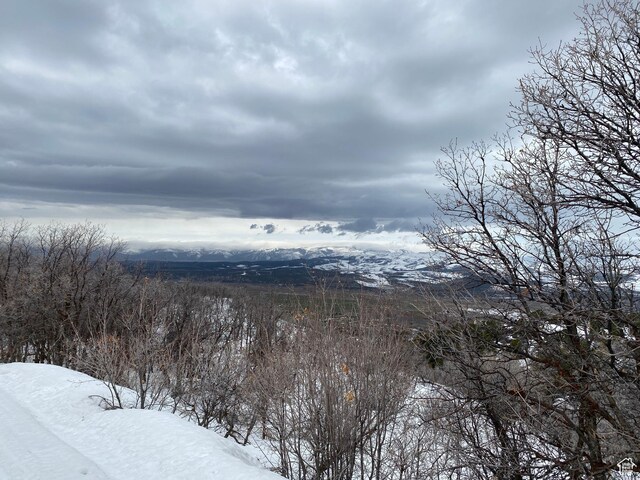 22625 N 13255 E Unit 4, Fairview, UT 84629
