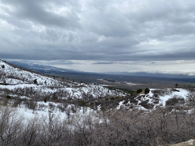 22625 N 13255 E Unit 4, Fairview, UT 84629