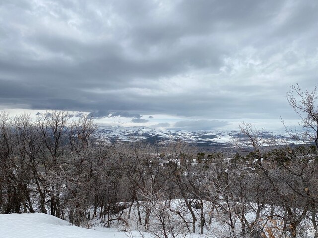 22625 N 13255 E Unit 4, Fairview, UT 84629