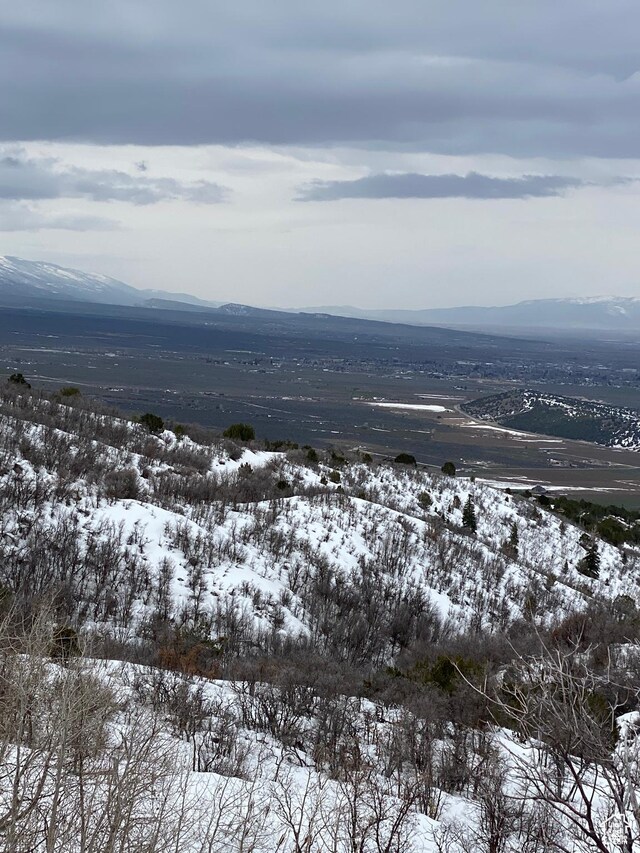 22625 N 13255 E Unit 4, Fairview, UT 84629